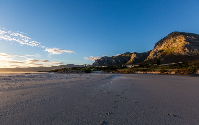 Beaches of Hermanus