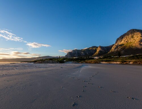 Beaches of Hermanus: Explore the Best Coastal Spots