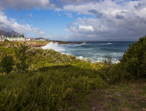 Exploring Walker Bay Nature Reserve