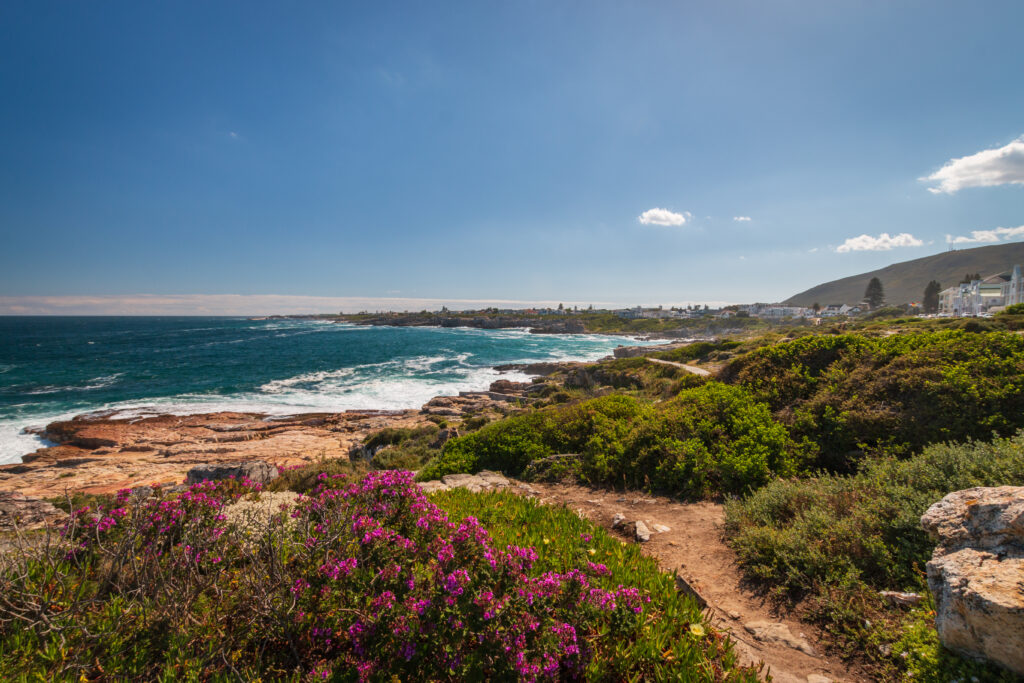 Walker Bay Nature Reserve