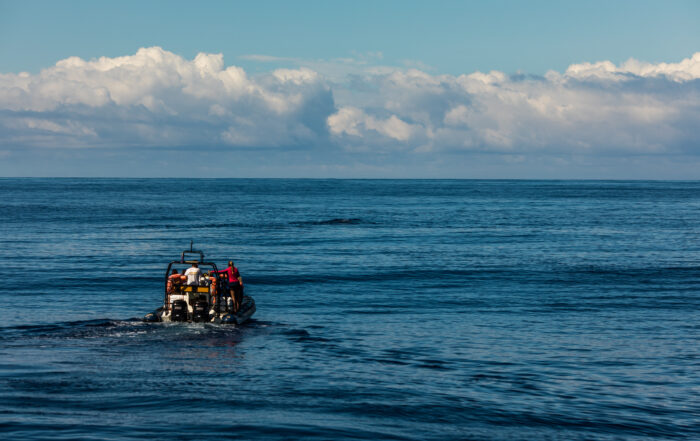 NSRI Station Open Day