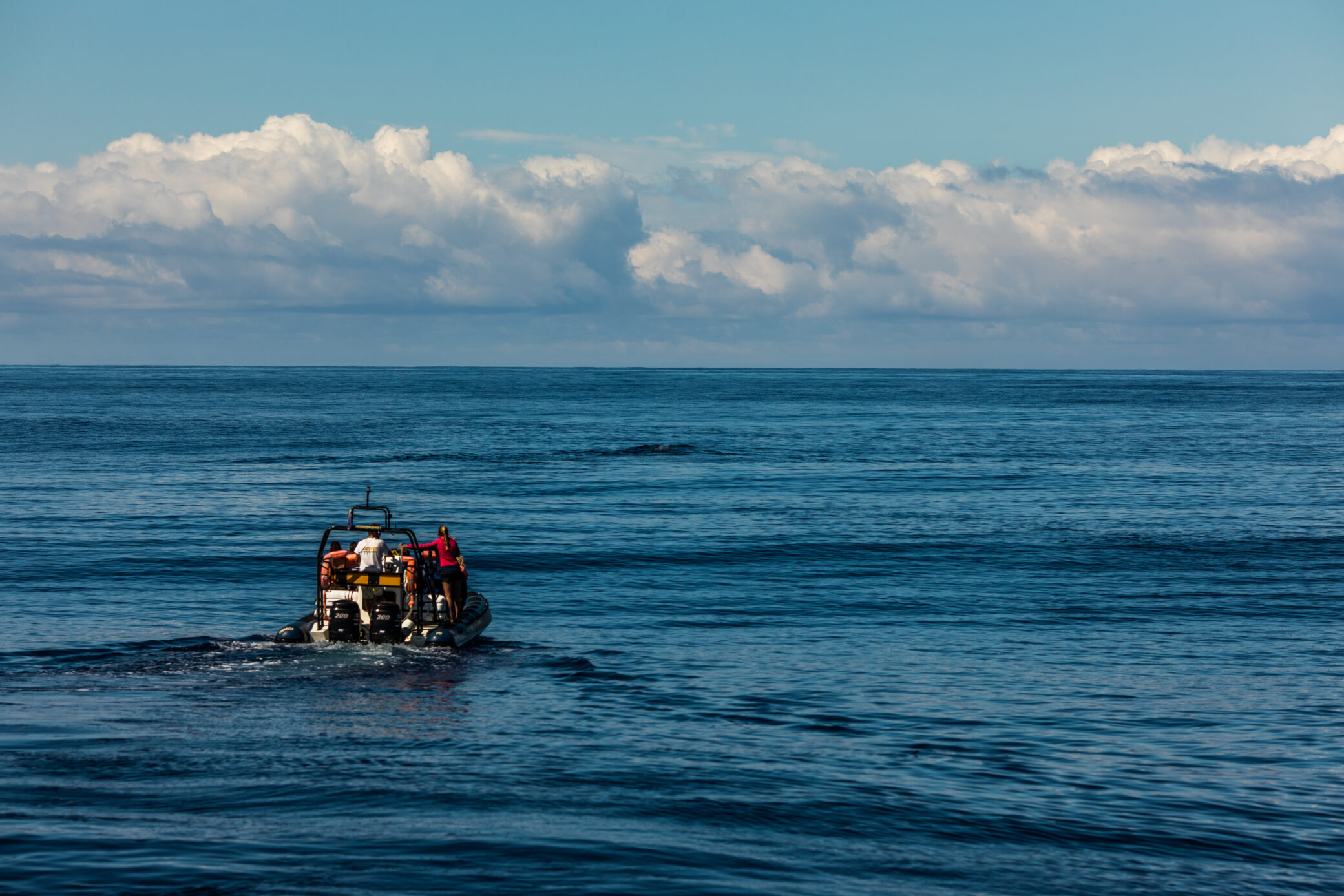 NSRI Station Open Day