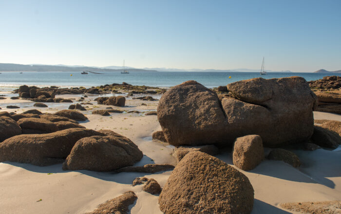 FynArts Hermanus Festival 2025