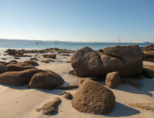 FynArts Hermanus Festival 2025