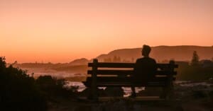 Hermanus Country Market: Your Complete Visitor's Guide