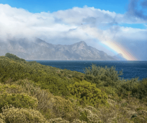 4 Must Try Restaurants in Hermanus