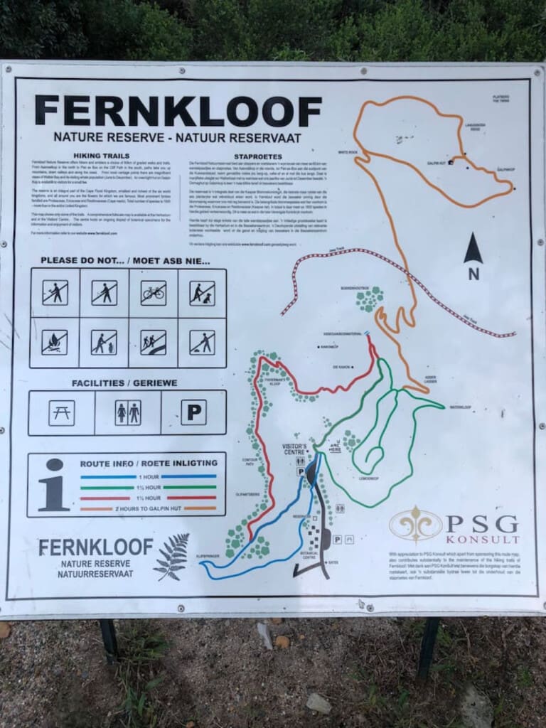 49659 348635 ieNktyrUM7USqQo8tHrfKMj0xMBEJWWkO3uaplWjgpo 6780036e1a5a4 31.jpg