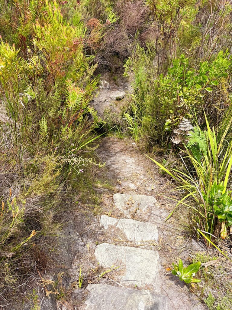 49659 465295 OQ0skfGFlrStqXpnF8xNxO8KT2JU6bkVUHeYhPLZjmY 694f91d73b891 32.jpg
