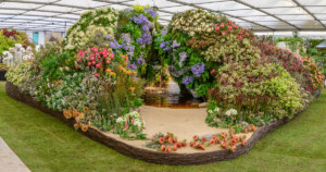 Chelsea Flower Show Stanford