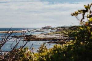 Facts About Hermanus, South Africa
