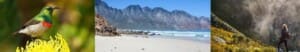 Family friendly activities in Hermanus