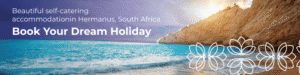 Hermanus Winter Fun!