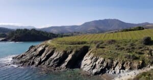 Mother's Day in Hermanus 2026: Coastal Getaway Ideas for Mum