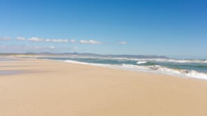 The Ultimate Guide to Hermanus Beaches: Where to Swim, Walk & Whale Watch