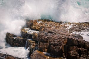 Things to Do in Hermanus