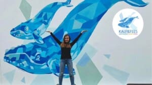 Why Two Festivals? The Story Behind Kalfiefees and the Whale Festival in Hermanus