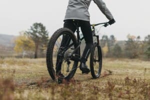 Wines2Whales: Experience the Ultimate Mountain Biking Adventure