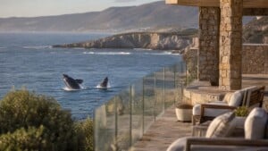 Best Villas for Whale Watching Season in Hermanus